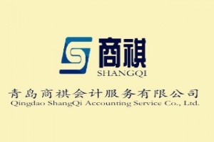 數據線出口專業市場的會計服務需求與應對策略